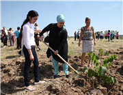 FİDAN DİKİMİ ETKİNLİĞİ GERÇEKLEŞTİ