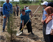 FİDAN DİKİMİ ETKİNLİĞİ GERÇEKLEŞTİ