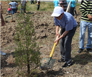 FİDAN DİKİMİ ETKİNLİĞİ GERÇEKLEŞTİ