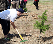 FİDAN DİKİMİ ETKİNLİĞİ GERÇEKLEŞTİ