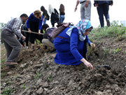 ULUSLARARASI ÖĞRENCİLER EDİRNE’MİZE DEĞER KATTI