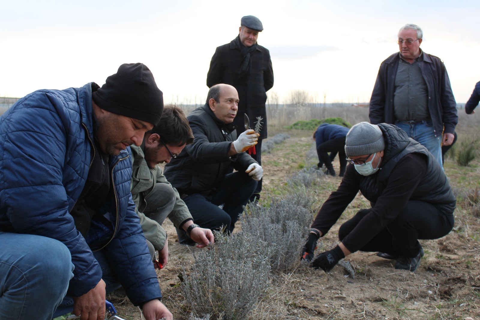 TRAKYA ÜNİVERSİTESİ HAVSA MYO TIBBİ VE AROMATİK BİTKİLER BAHÇESİ GELİŞİYOR