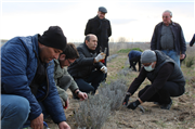 TRAKYA ÜNİVERSİTESİ HAVSA MYO TIBBİ VE AROMATİK BİTKİLER BAHÇESİ GELİŞİYOR
