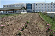 TRAKYA ÜNİVERSİTESİ HAVSA MYO TIBBİ VE AROMATİK BİTKİLER BAHÇESİ GELİŞİYOR