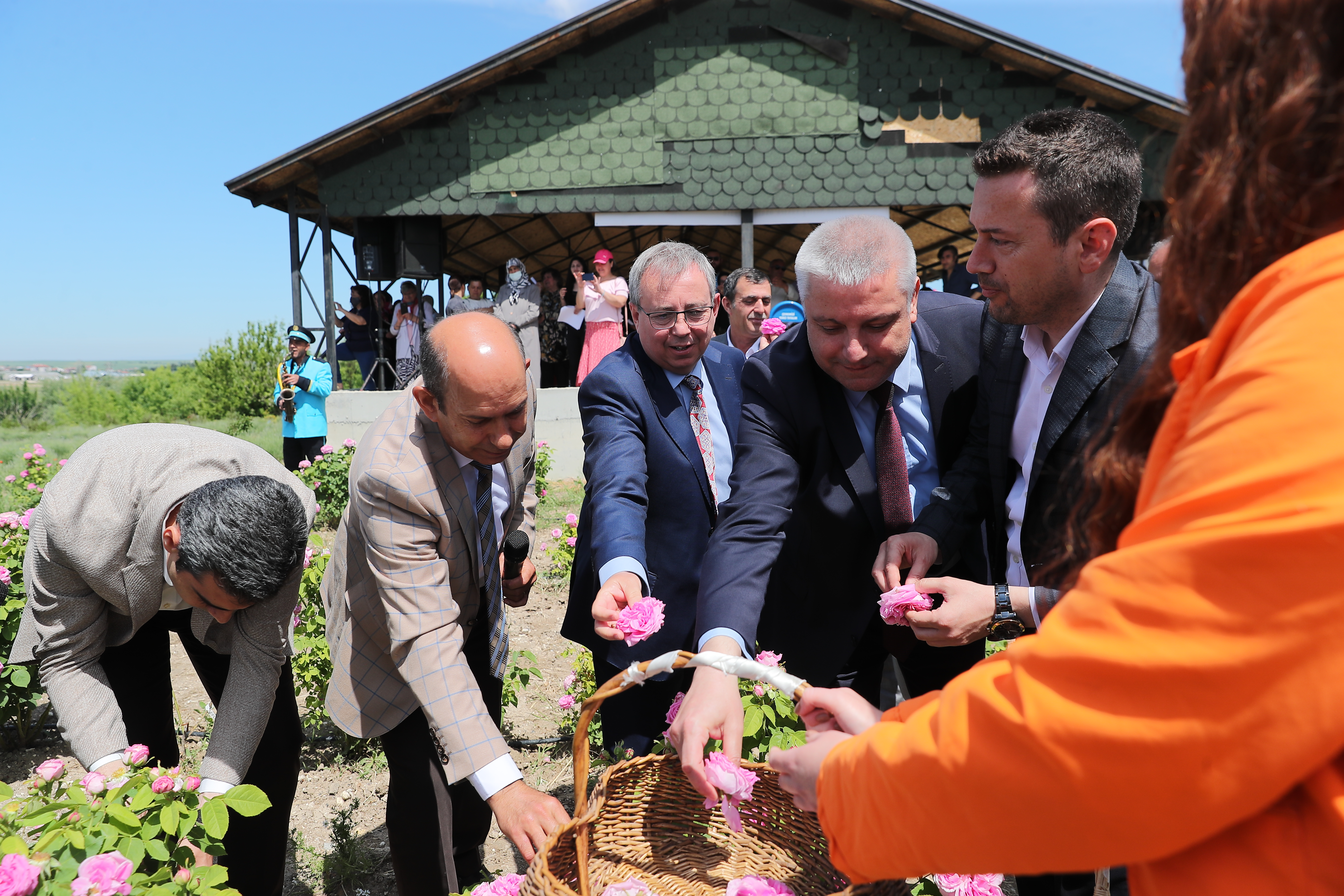 UNUTULAN BİR DEĞER YENİDEN YÜKSELİYOR: EDİRNE GÜLÜ’NDE HASAT BAŞLADI