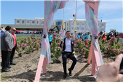 UNUTULAN BİR DEĞER YENİDEN YÜKSELİYOR: EDİRNE GÜLÜ’NDE HASAT BAŞLADI