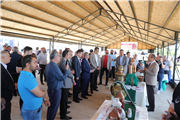 UNUTULAN BİR DEĞER YENİDEN YÜKSELİYOR: EDİRNE GÜLÜ’NDE HASAT BAŞLADI