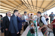 UNUTULAN BİR DEĞER YENİDEN YÜKSELİYOR: EDİRNE GÜLÜ’NDE HASAT BAŞLADI