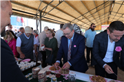 UNUTULAN BİR DEĞER YENİDEN YÜKSELİYOR: EDİRNE GÜLÜ’NDE HASAT BAŞLADI