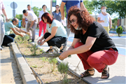 BALKAN YERLEŞKESİNDE İLK LAVANTA HASADI YAPILDI