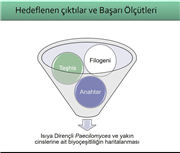 DOÇ. DR. BURHAN ŞEN’İN PROJESİNE TÜBİTAK DESTEĞİ