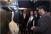 100. YIL FİDANI ÇOCUKLARIN ELİNDE HAYAT BULDU