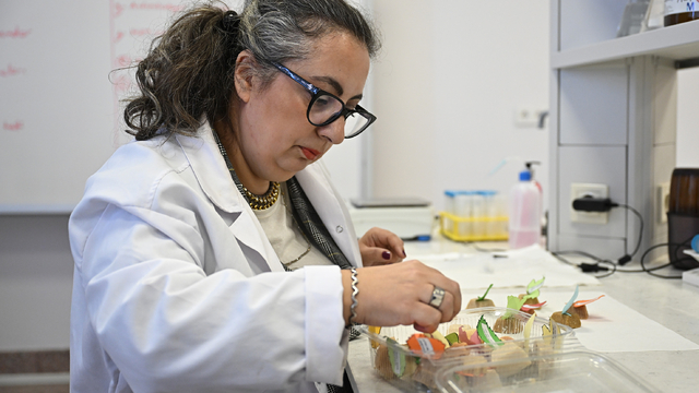 DOÇ. DR. GÜLŞAH GEDİK’TEN “TRAKYA SABUNU”