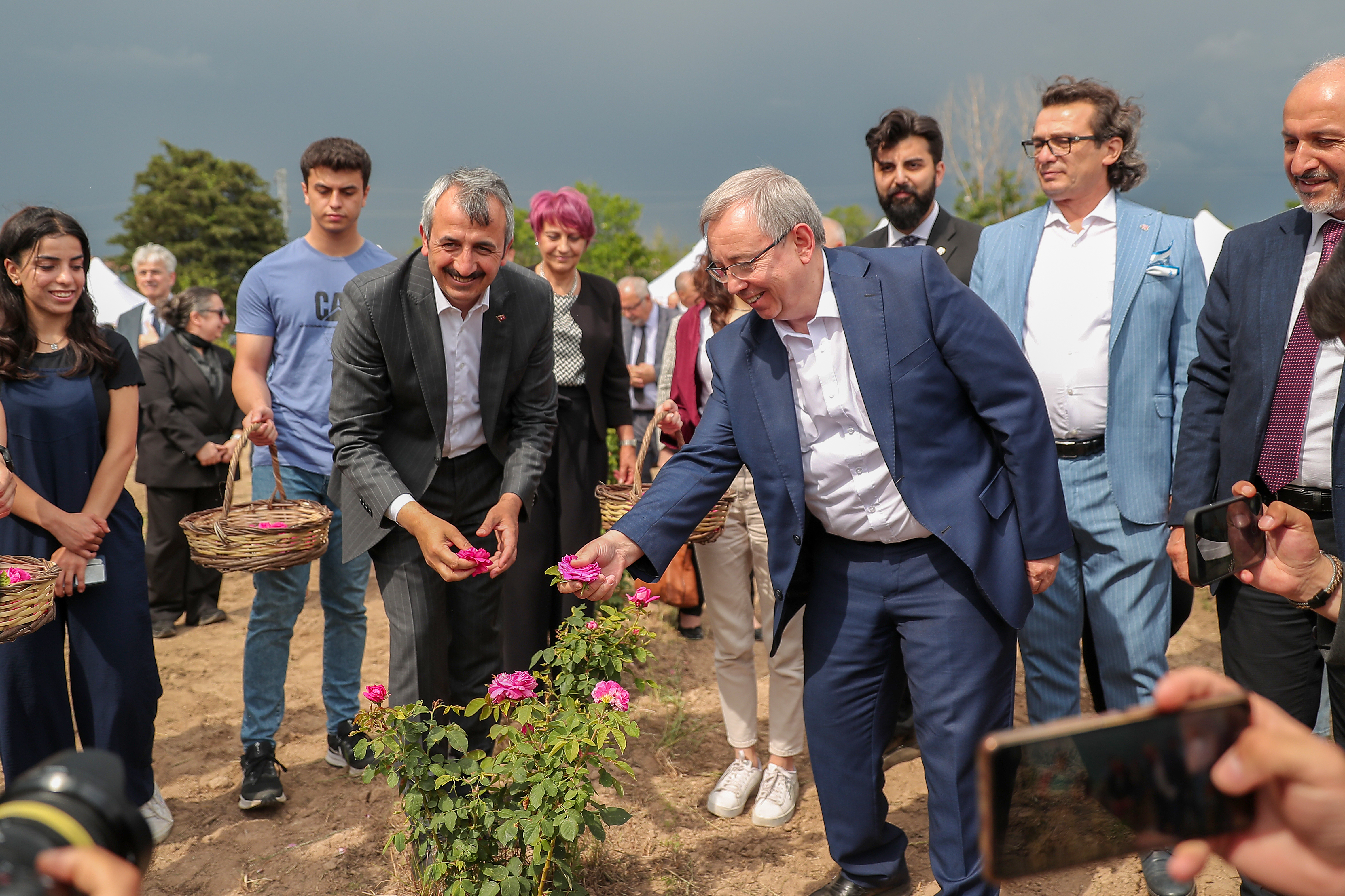 TRAKYA ÜNİVERSİTESİNDE “EDİRNE GÜLÜ”NÜN İLK HASADI YAPILDI