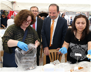 SARAÇLARDA KERMES HEYECANI