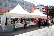 SARAÇLARDA KERMES HEYECANI