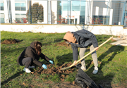 TRAKYA ÜNİVERSİTESİ ÖĞRENCİLERİNDEN ÇEVREYE DUYARLI FESTİVAL