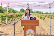 ÜNİVERSİTEMİZDE EDİRNE GÜLÜ HASAT ETKİNLİĞİ DÜZENLENDİ