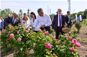 ÜNİVERSİTEMİZDE EDİRNE GÜLÜ HASAT ETKİNLİĞİ DÜZENLENDİ