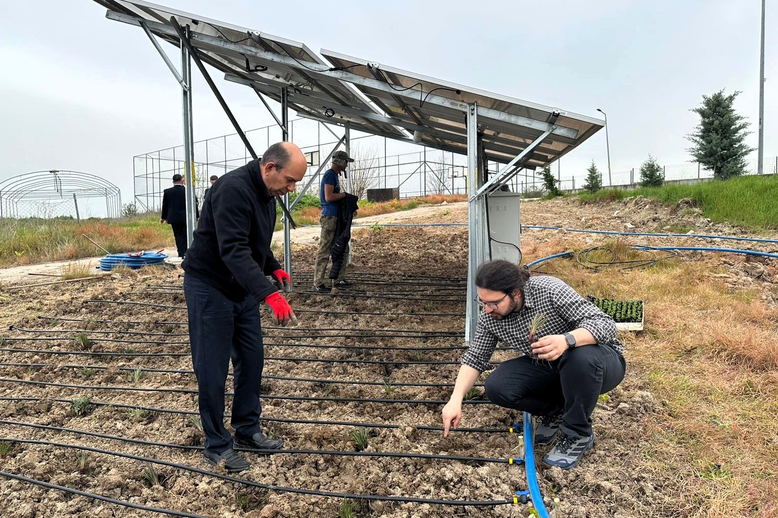 TRAKYA ÜNİVERSİTESİ’NDE AGRİVOLTAİK SİSTEM ARAŞTIRMALARI BAŞLADI