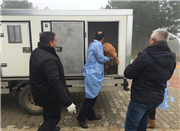 SOKAK HAYVANLARININ SÜRDÜRÜLEBİLİR YAŞAM PROJESİ