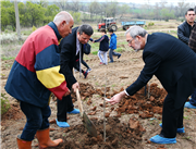 BALKAN ARBORETUMU AĞAÇ DİKİM TÖRENİ