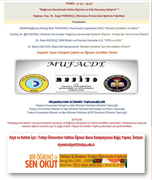 ULUSLARARASI KALİTE STANDARTLARI VE ETİK KODLAR KAPSAMINDA BAĞIMSIZ DENETİMDE TÜRKİYE'NİN DURUMU