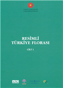 DOÇ. DR. FATMA GÜNEŞ’İN ESERLERİ YAYINLANDI