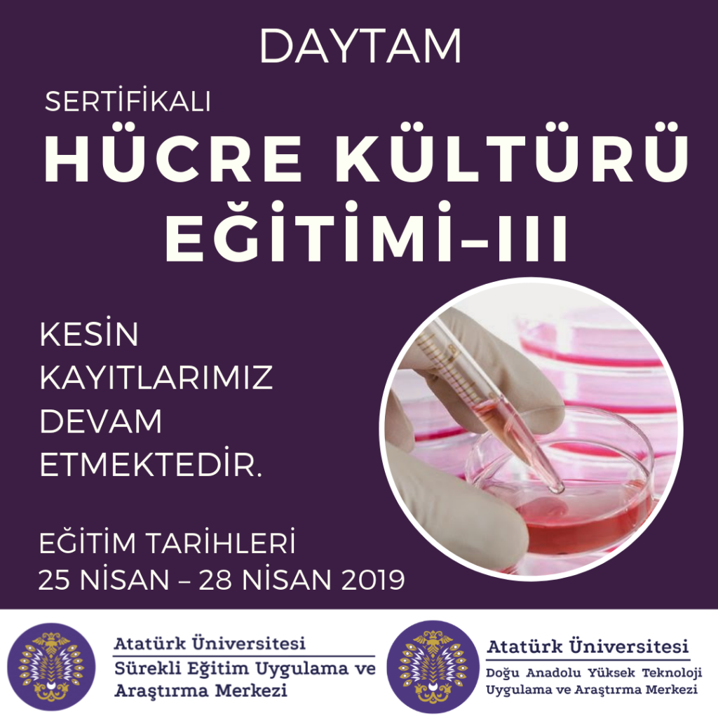 Resim
