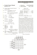 TRİADİC PATENT BAŞARISI