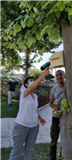 OKUL SEKRETERLERİ TOPLANTILARI DEVAM EDİYOR