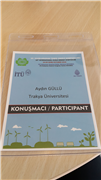 ÖĞRETİM GÖREVLİSİ AYDIN GÜLLÜ'NÜN UTES 2016 SEMPOZYUMUNDAKİ BAŞARISI