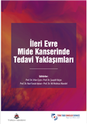 PROF. DR. İRFAN ÇİÇİN’DEN YENİ KİTAP