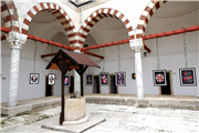 TIP İLE GÜZEL SANATLAR “PLANTOMY” SERGİSİNDE BULUŞTU