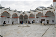 TIP İLE GÜZEL SANATLAR “PLANTOMY” SERGİSİNDE BULUŞTU