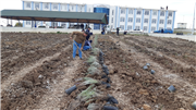 HAVSA MESLEK YÜKSEKOKULU’NUN HAVASI, AROMATİK BİTKİLERLE DEĞİŞECEK